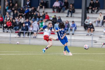 Bild 104 - wBJ Hamburger SV - FC Suederelbe : Ergebnis: 9:0